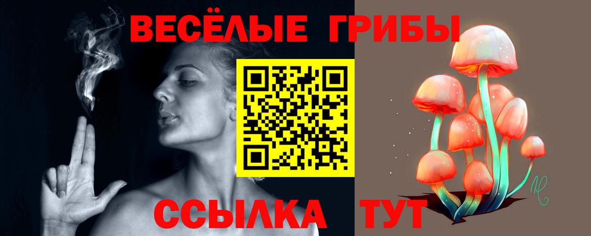 Галлюциногенные грибы MAGIC MUSHROOMS  Вход с VPN  Хасавюрт 